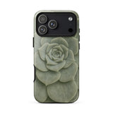 Geometric Succulent Phone Case Iphone 17 Pro Max / Gloss Sleek Translucent Phone Case Detailed Pale Green Succulent Baja California’s
