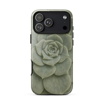 Geometric Succulent Phone Case Iphone 17 Pro Max / Gloss Sleek Translucent Phone Case Detailed Pale Green Succulent Baja California’s