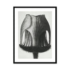 Geum Rivale (nodding Avens Flower–bud) Karl Blossfeldt Art Print, Black White Photograph Dried Seed Pod Vertical Ridges