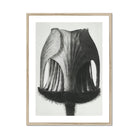 Geum Rivale (nodding Avens Flower–bud) - Karl Blossfeldt Art Print