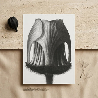 Geum Rivale (nodding Avens Flower–bud) - Karl Blossfeldt Art Print / Canvas Black-and-white Botanical Illustration Flower’s Interior