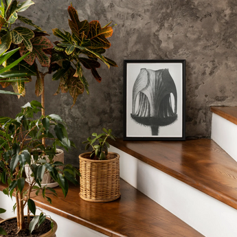 Geum Rivale (nodding Avens Flower–bud) - Karl Blossfeldt Art Print, Framed Black White Photograph Tulip-shaped Object