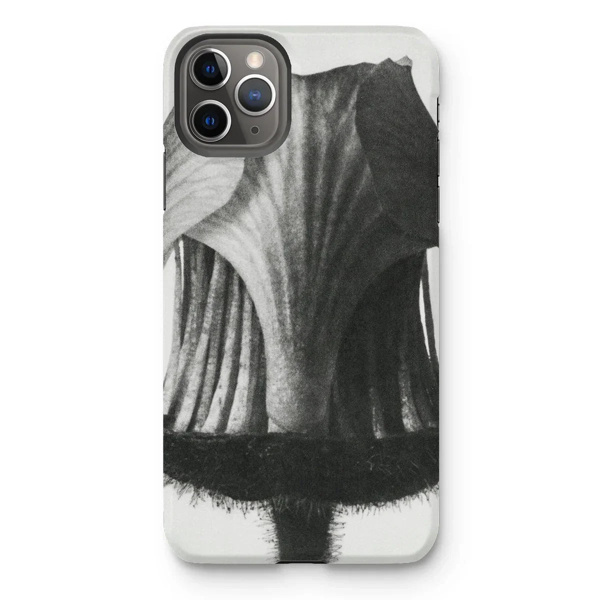 Geum Rivale (nodding Avens Flower–bud) - Karl Blossfeldt Iphone Case - 11 Pro Max / Matte