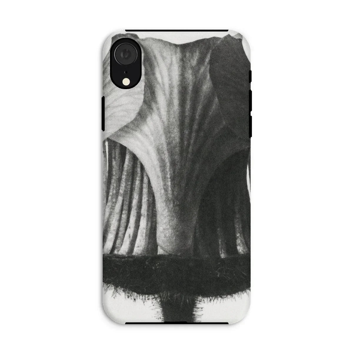 Geum Rivale (nodding Avens Flower–bud) - Karl Blossfeldt Iphone Case - Xr / Matte