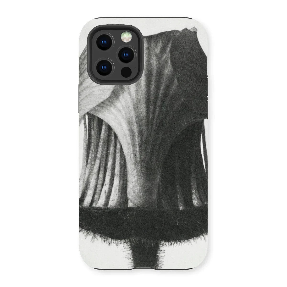 Geum Rivale (nodding Avens Flower–bud) - Karl Blossfeldt Iphone Case - 13 Pro / Matte