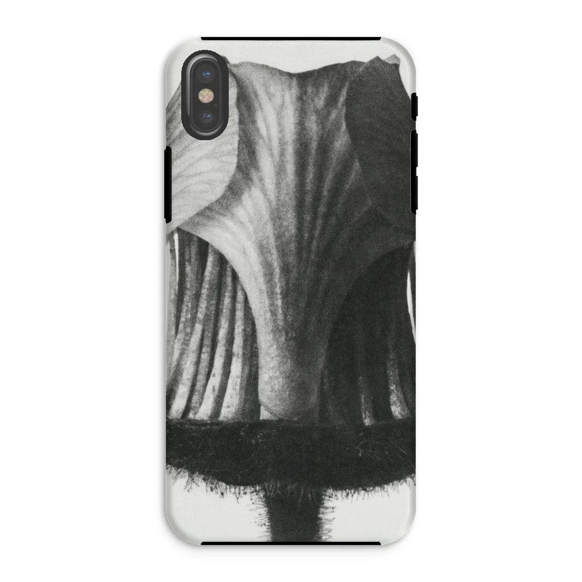 Geum Rivale (nodding Avens Flower–bud) - Karl Blossfeldt Iphone Case Xs / Matte Mobile Phone Cases