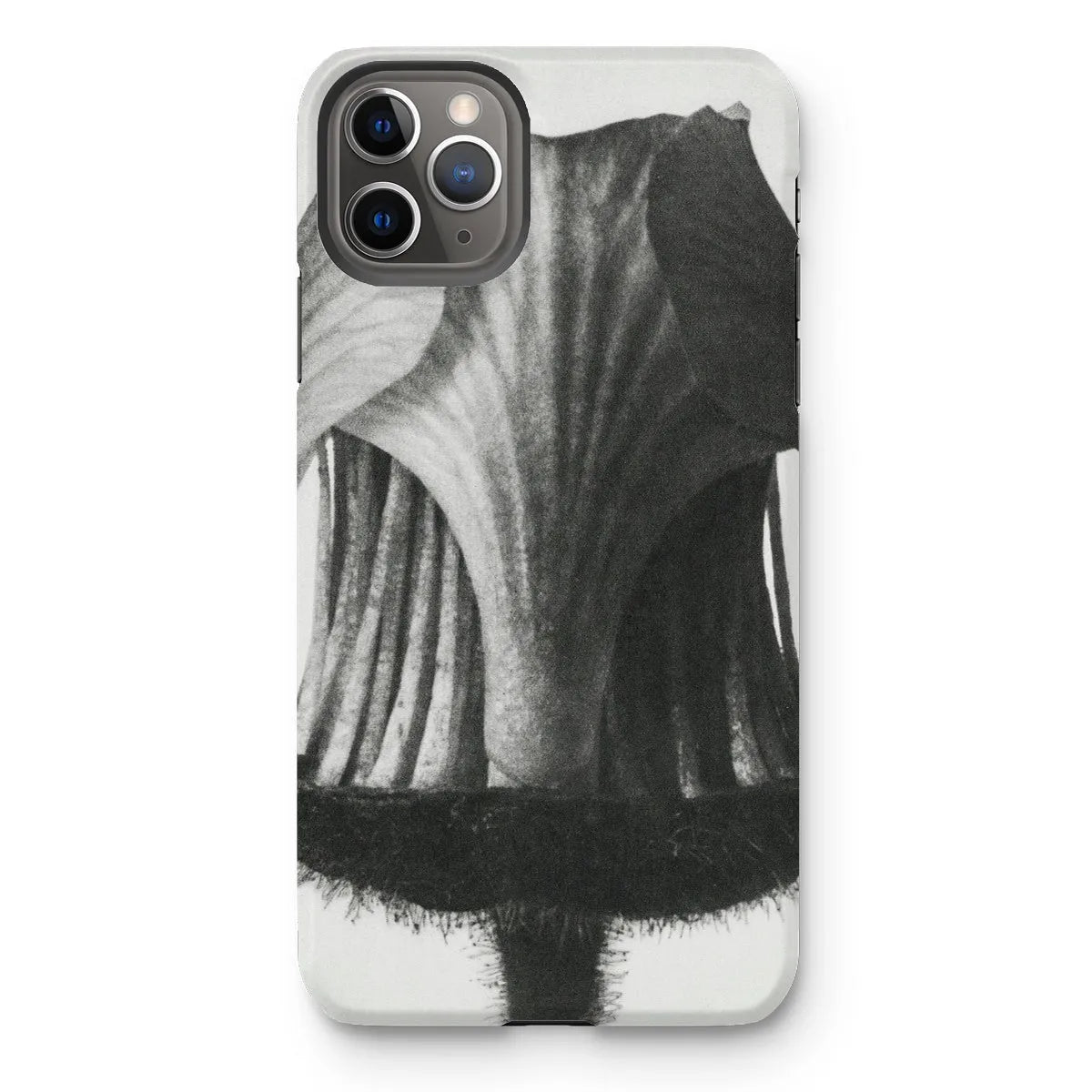 Geum Rivale (nodding Avens Flower–bud With The Sepals Removed) By Karl Blossfeldt Tough Phone Case - Iphone 11 Pro