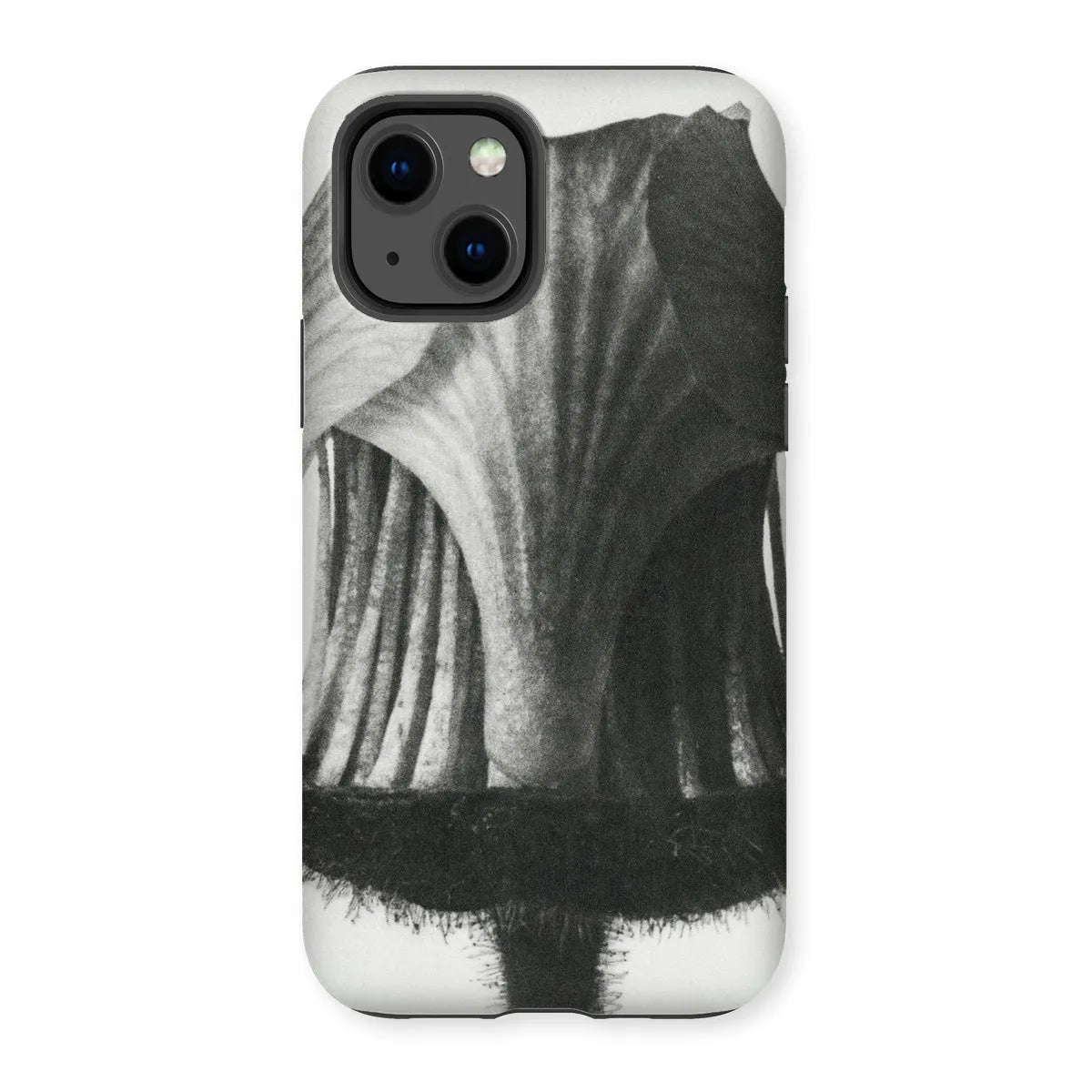 Geum Rivale (nodding Avens Flower–bud With The Sepals Removed) By Karl Blossfeldt Tough Phone Case - Iphone 13
