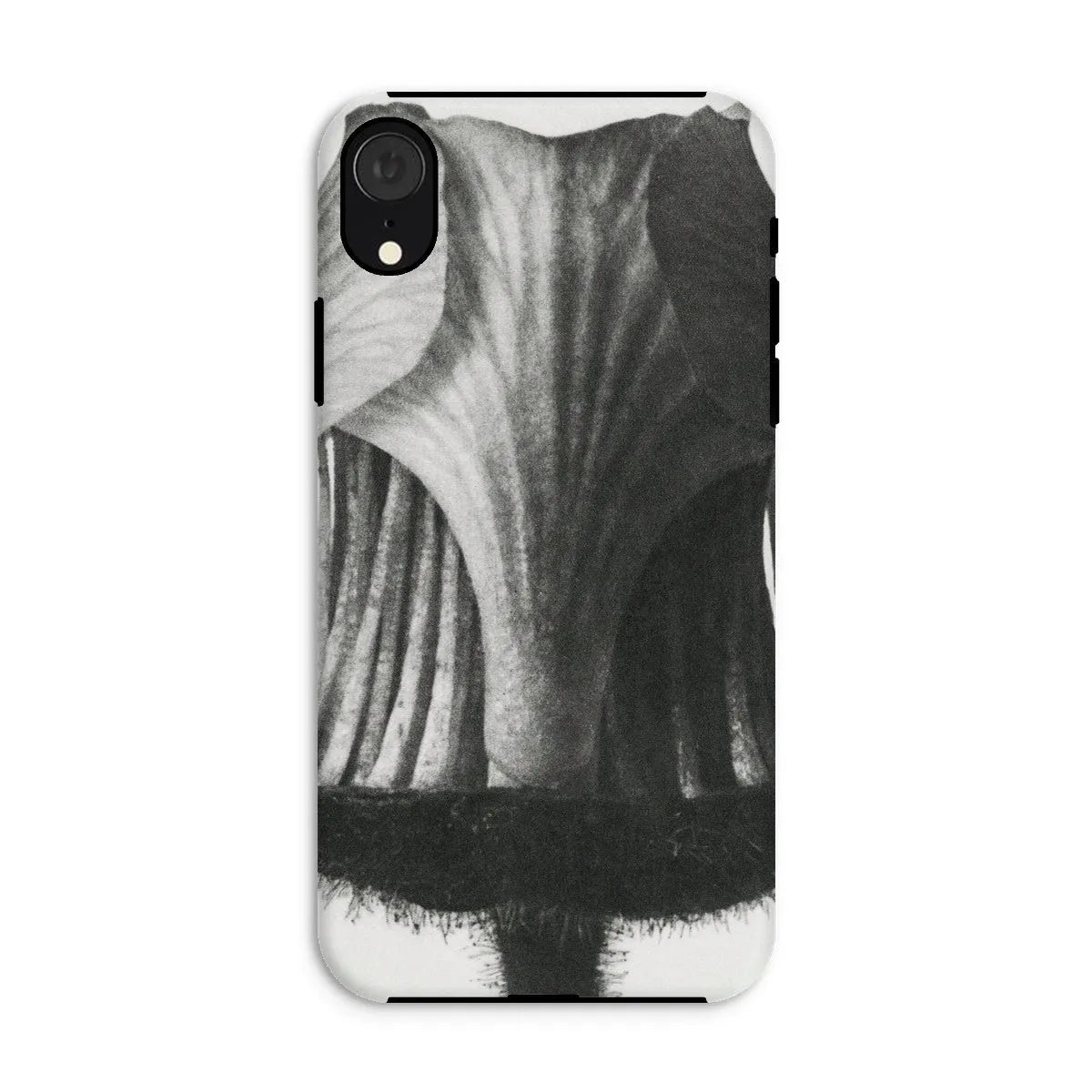 Geum Rivale (nodding Avens Flower–bud With The Sepals Removed) By Karl Blossfeldt Tough Phone Case - Iphone Xr