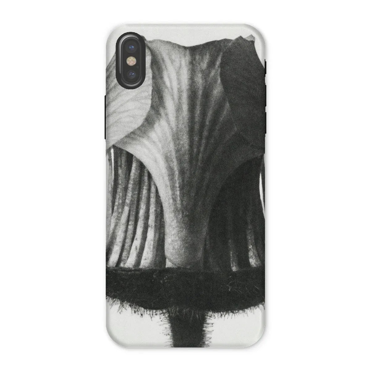 Geum Rivale (nodding Avens Flower–bud With The Sepals Removed) By Karl Blossfeldt Tough Phone Case - Iphone x / Matte