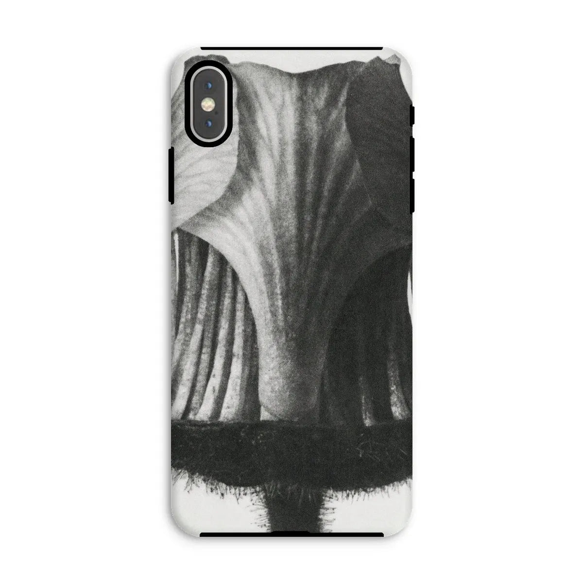 Geum Rivale (nodding Avens Flower–bud With The Sepals Removed) By Karl Blossfeldt Tough Phone Case - Iphone Xs Max