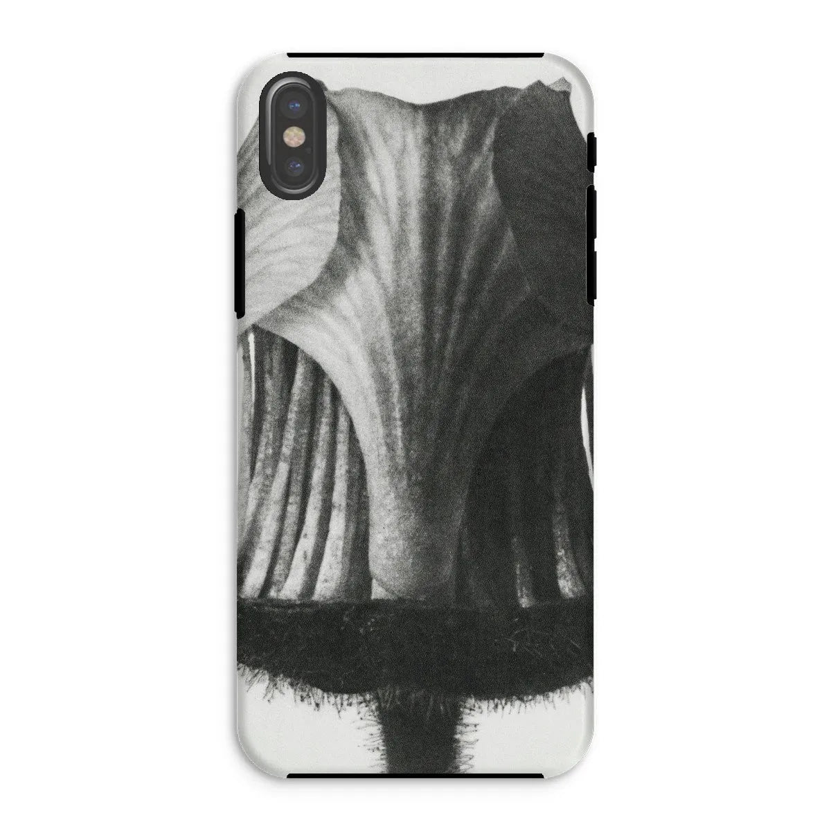 Geum Rivale (nodding Avens Flower–bud With The Sepals Removed) By Karl Blossfeldt Tough Phone Case - Iphone Xs