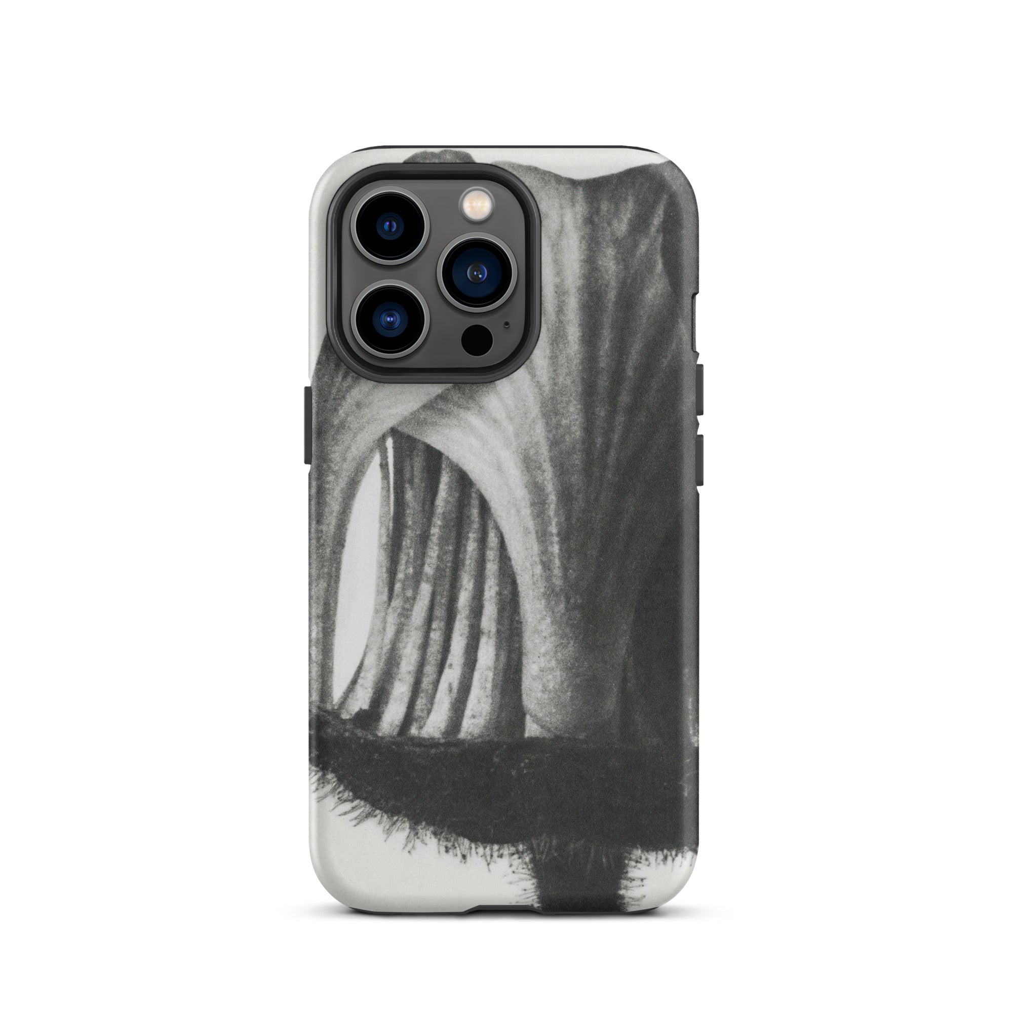 Geum Rivale (nodding Avens) Karl Blossfeldt Iphone Case, 13 Pro / Matte, Black White Phone Case