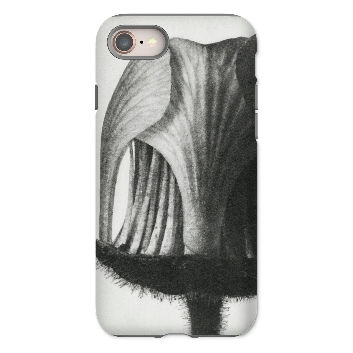 Geum Rivale (nodding Avens) Karl Blossfeldt Iphone Case, 8 / Matte, Floral Patterned Phone Case