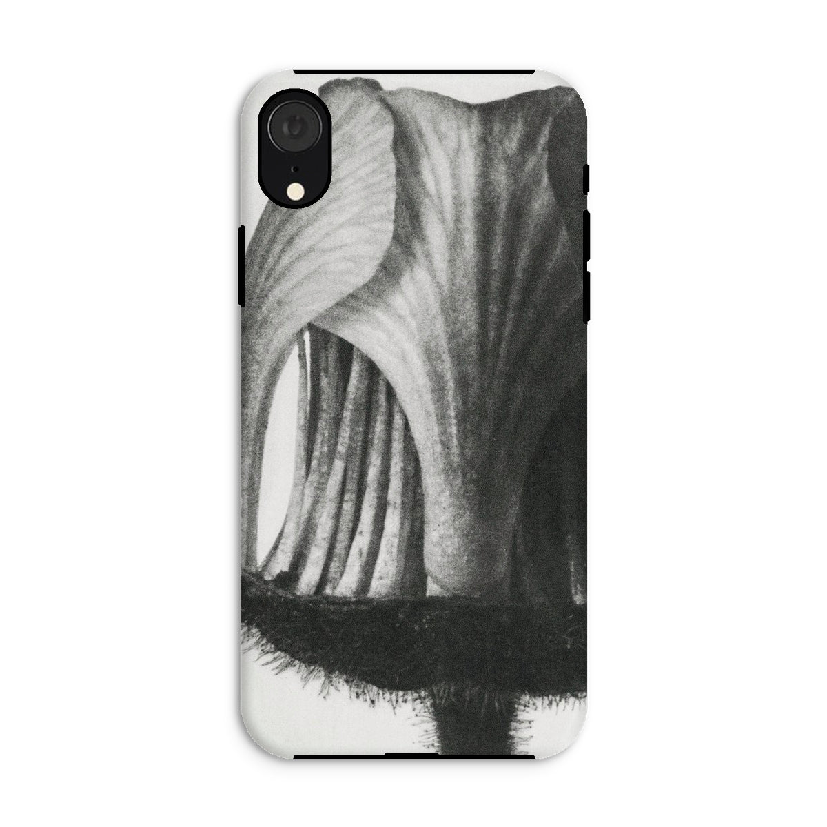 Geum Rivale (nodding Avens) Karl Blossfeldt Iphone Case, Xr / Matte, Floral Patterned Phone Case