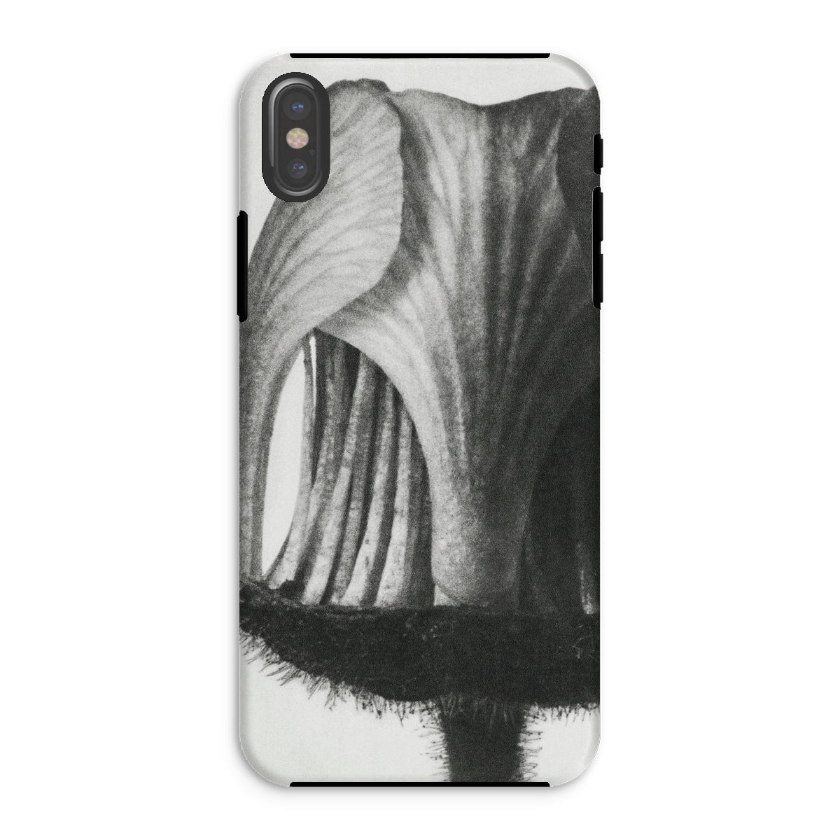 Geum Rivale (nodding Avens) Karl Blossfeldt Iphone Case, Xs / Matte, Floral Patterned Phone Case