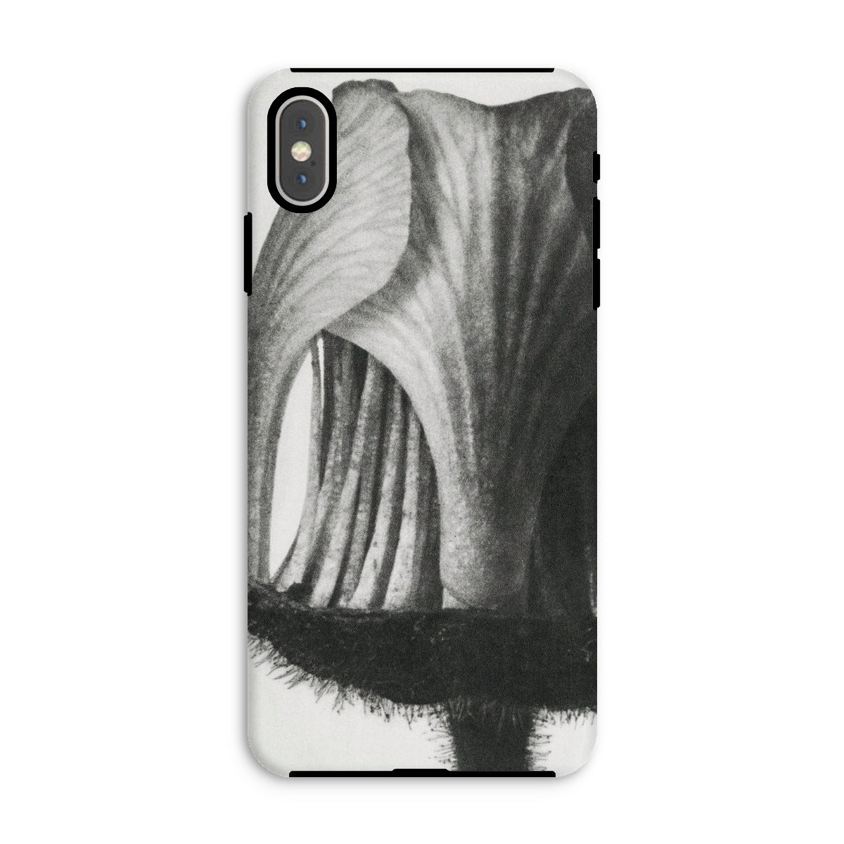 Geum Rivale (nodding Avens) Karl Blossfeldt Iphone Case, Xs Max / Matte, Black White Floral Phone Case