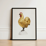 Gilded Rooster - Karl J. Hentz 1930s Decorative Art Print / Canvas Framed Illustration Golden Red Comb Wattle White Regal, Kitchen, Prints
