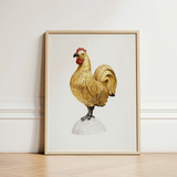 Gilded Rooster - Karl J. Hentz 1930s Decorative Art Print / Canvas Framed Illustration Golden Red Comb Wattle Egg Regal, Kitchen, Prints