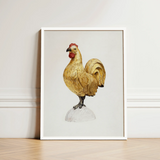 Gilded Rooster - Karl J. Hentz 1930s Decorative Art Print / Canvas Framed Illustration Golden Red Comb Wattle White Regal, Kitchen, Prints