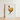 Framed Illustration Golden Rooster Red Comb Wattle White Regal Art, Hentz Decorative Kitchen, Gilded