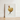 Framed Illustration Golden Rooster Red Comb Wattle Egg Regal Art, Hentz Decorative Kitchen, Gilded