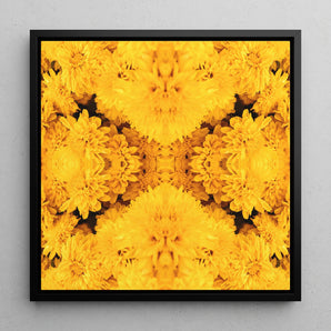 Gold Rush - Chrysanthemum Op Art Framed Canvas, 12x12’’ / 31x31cm / Black Floating Frame, Symmetrical Kaleidoscopic Pattern Vibrant Yellow