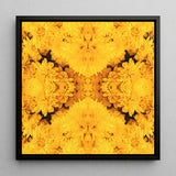 Gold Rush - Chrysanthemum Op Art Framed Canvas, 12x12’’ / 31x31cm / Black Floating Frame, Symmetrical Kaleidoscopic Pattern Vibrant Yellow