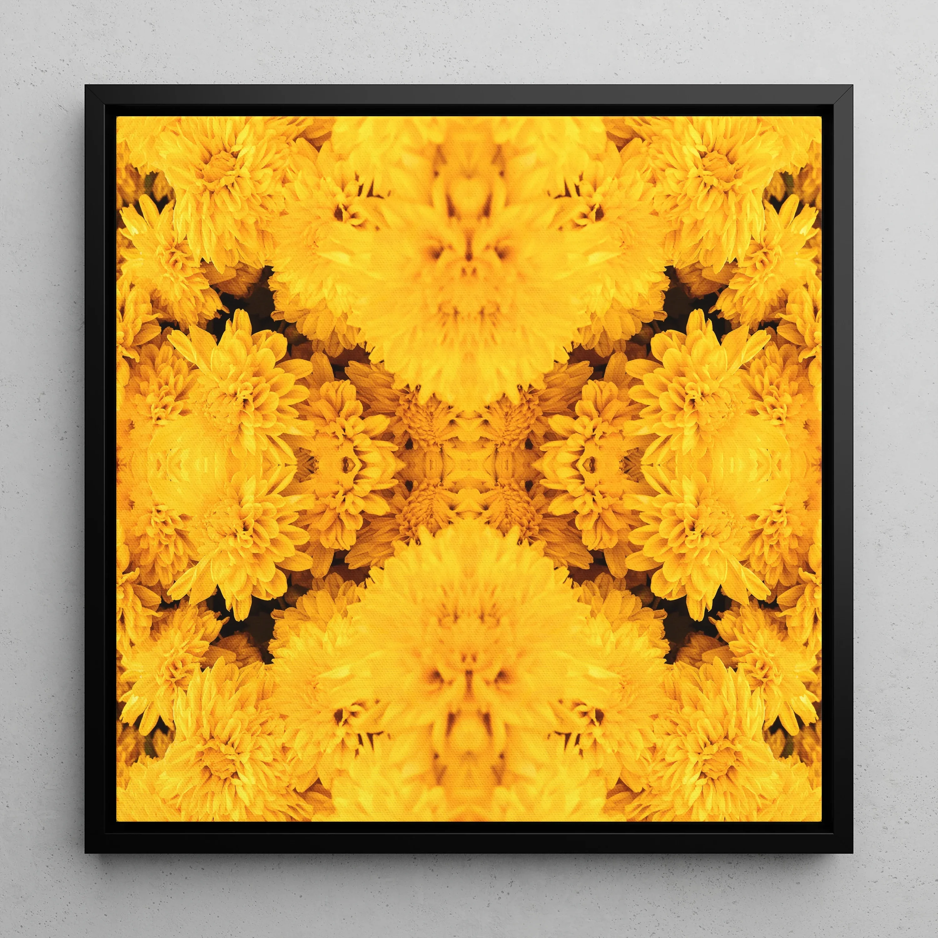 Gold Rush - Chrysanthemum Op Art Framed Canvas, Symmetrical Kaleidoscopic Pattern Vibrant Yellow Chrysanthemum Flowers Black