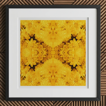 Gold Rush - Chrysanthemum Op Art Print, 12x12’’ / 31x31cm / Black Frame / 2’’ Matboard, Framed Print Symmetrical Kaleidoscope Pattern
