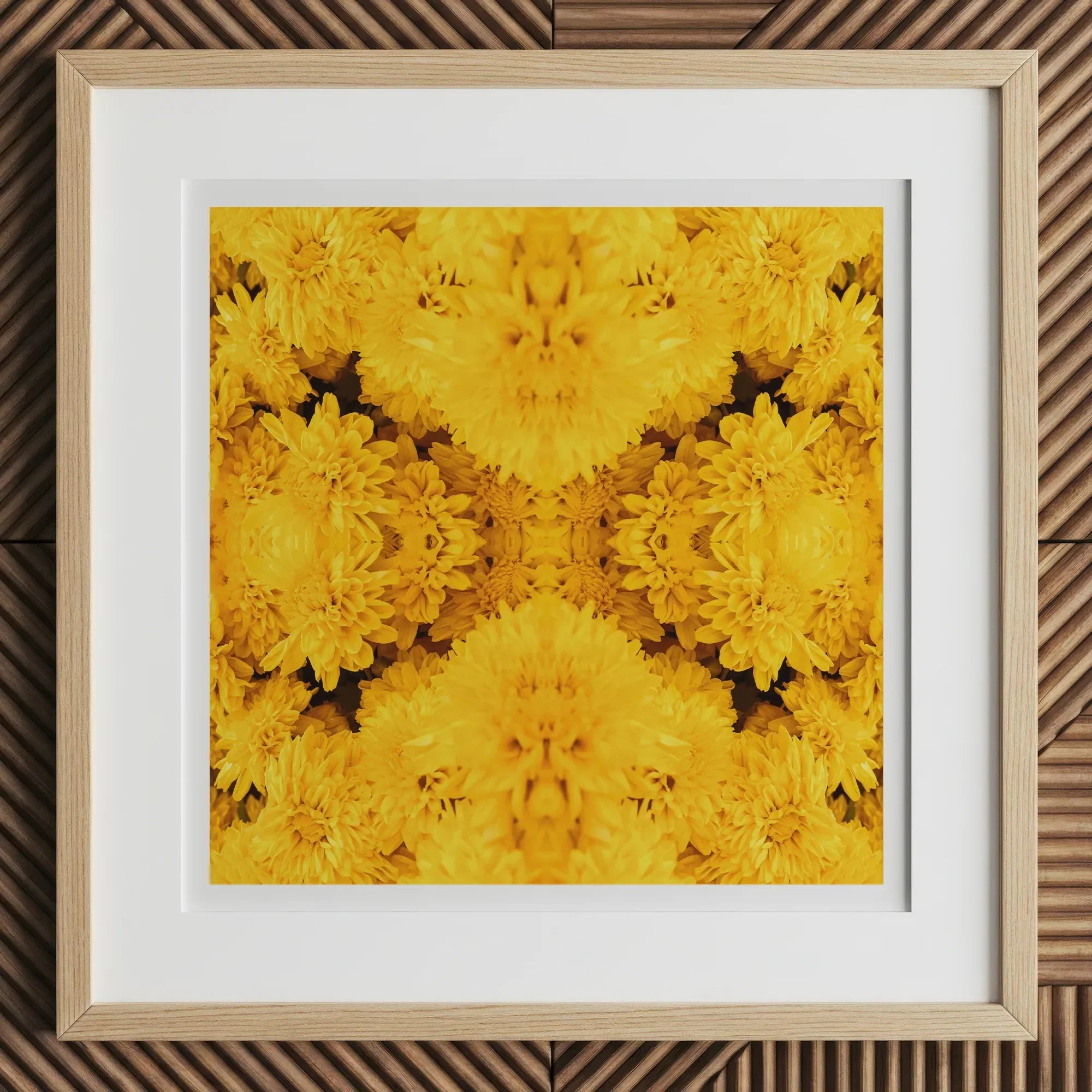 Gold Rush - Chrysanthemum Op Art Print, 12x12’’ / 31x31cm / Natural Frame / 2’’ Matboard, Framed Vibrant Yellow Chrysanthemum Floral