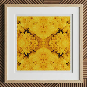 Gold Rush - Chrysanthemum Op Art Print, 12x12’’ / 31x31cm / Natural Frame / 2’’ Matboard, Framed Vibrant Yellow Chrysanthemum Floral