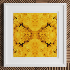Gold Rush - Chrysanthemum Op Art Print, 12x12’’ / 31x31cm / White Frame / 2’’ Matboard, Framed Square Artwork Symmetrical Pattern Vibrant