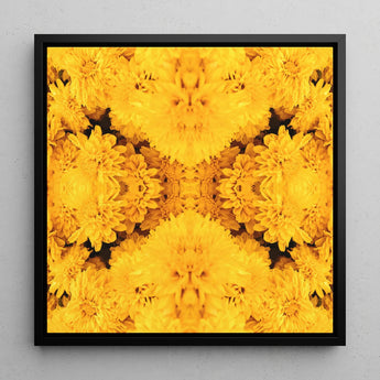 Gold Rush - Chrysanthemum Op Art Print / Canvas, 12x12’’ / 31x31cm / Black Frame, Posters Prints & Visual Artwork, Toby Leon