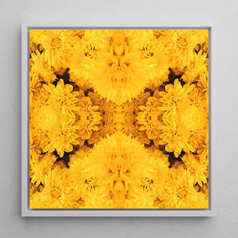 Gold Rush - Chrysanthemum Op Art Print / Canvas, 12x12’’ / 31x31cm / White Frame, Posters Prints & Visual Artwork, Toby Leon