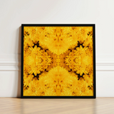 Square-framed Artwork Vibrant Symmetrical Pattern Golden-yellow Chrysanthemums Arranged Behold Gold Rush, Entrancing Floral Symphony,