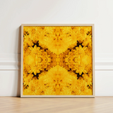 Square-framed Artwork Vibrant Symmetrical Mandala Golden-yellow Chrysanthemums Light Behold Gold Rush, Entrancing Floral Symphony, Trippy