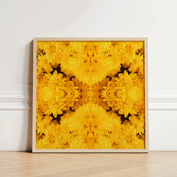 Square-framed Artwork Vibrant Symmetrical Mandala Golden-yellow Chrysanthemums Light Behold Gold Rush, Entrancing Floral Symphony, Trippy