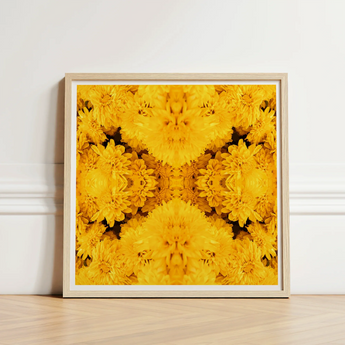 Square-framed Artwork Vibrant Symmetrical Pattern Golden-yellow Chrysanthemums Behold Gold Rush, Entrancing Floral Symphony, Trippy