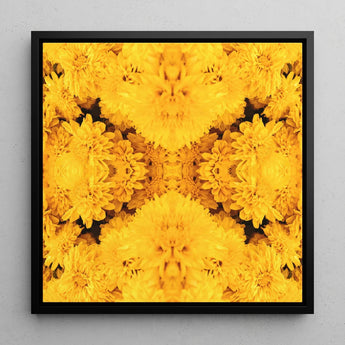 Gold Rush - Chrysanthemum Op Art Print / Canvas Vibrant Yellow Floral Sleek Black Frame Behold, Entrancing Symphony, Trippy Prints