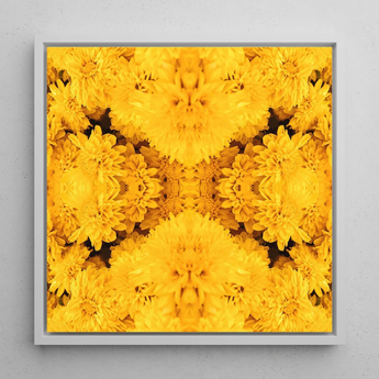 Gold Rush - Chrysanthemum Op Art Print / Canvas, Behold Gold Rush, Entrancing Floral Symphony, Trippy Chrysanthemum Art