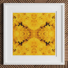 Gold Rush - Chrysanthemum Op Art Print