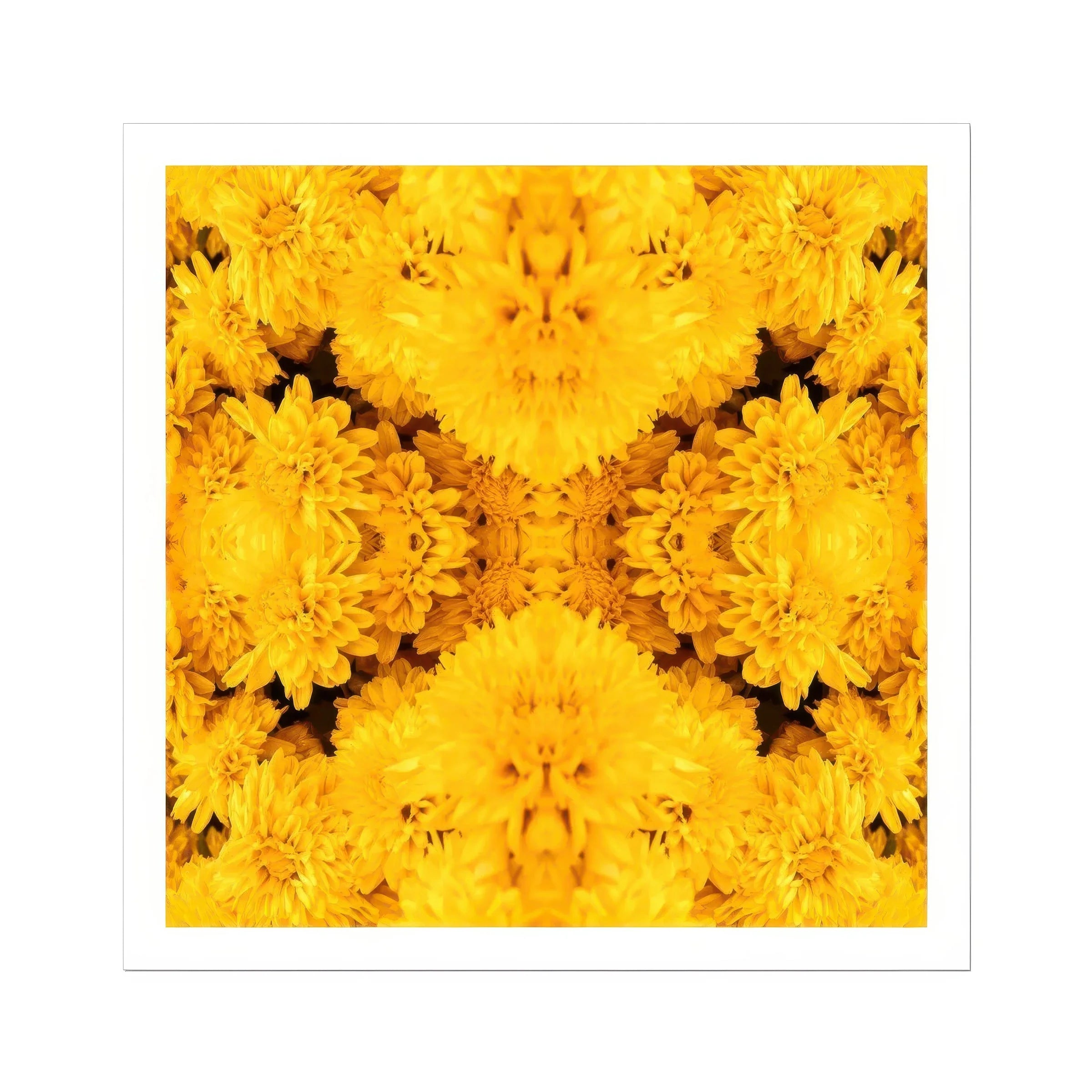 Gold Rush - Chrysanthemum Op Art Print Posters Prints & Visual Artwork