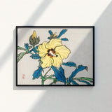 Framed Japanese Woodblock Print Vibrant Yellow Hibiscus Flower Kōno Bairei’s Golden, Meiji-era Kacho-e Masterwork, Bairei Meiji Era