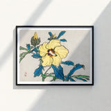 Framed Japanese Woodblock Print Vibrant Yellow Hibiscus Flower Kōno Bairei’s Golden, Meiji-era Kacho-e Masterwork, Bairei Meiji Era