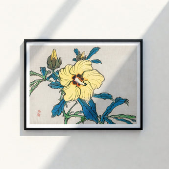 Framed Japanese Woodblock Print Vibrant Yellow Hibiscus Flower Kōno Bairei’s Golden, Meiji-era Kacho-e Masterwork, Bairei Meiji Era