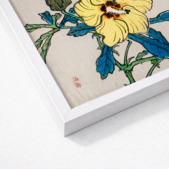 Framed Japanese Woodblock Print Vibrant Yellow Hibiscus Flower Kōno Bairei’s Golden, Meiji-era Kacho-e Masterwork, Bairei Meiji Era
