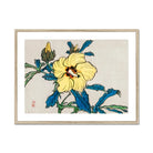 Golden Hibiscus - Kōno Bairei Meiji Era Art Print, Yellow Hibiscus Flower Blue-green Leaves Japanese Woodblock Print