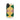 Iphone 17 / Matte Graphic Bloom - Taguchi Tomoki Floral Phone Case Tomoki’s Japanese, Artistry