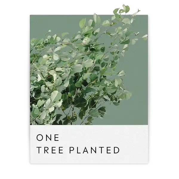 Green leafy branch with text below stating ’ONE TREE PLANTED’